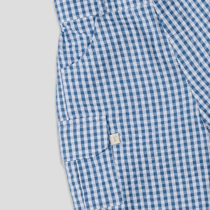 Tiny Twig Blue Gingham Boys Shorts