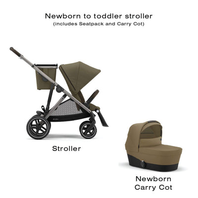 Newborn to Toddler Gazelle S Stroller