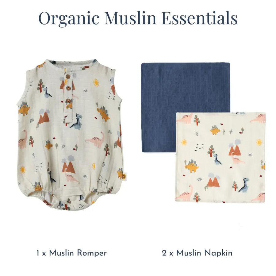 Dulaar Organic Muslin Essentials (Set of 3) - A Day with Dinos