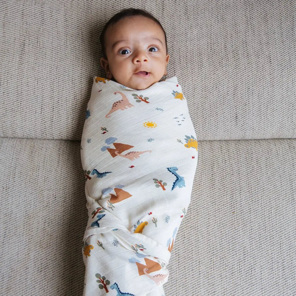 Dulaar Organic Muslin Essentials Set - A Day with Dinos