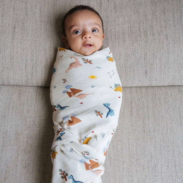 Dulaar Organic Muslin Essentials Set - A Day with Dinos