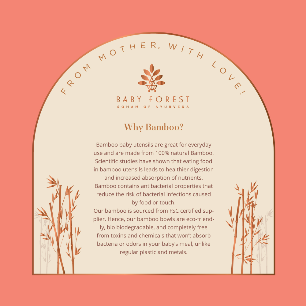 Baby Forest Laad Dulaar Bamboo Feeding Plate - Car Shape