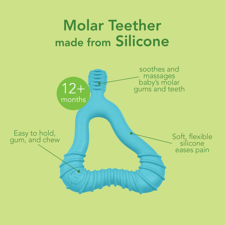 Green Sprouts Molar Teether (12 months+)