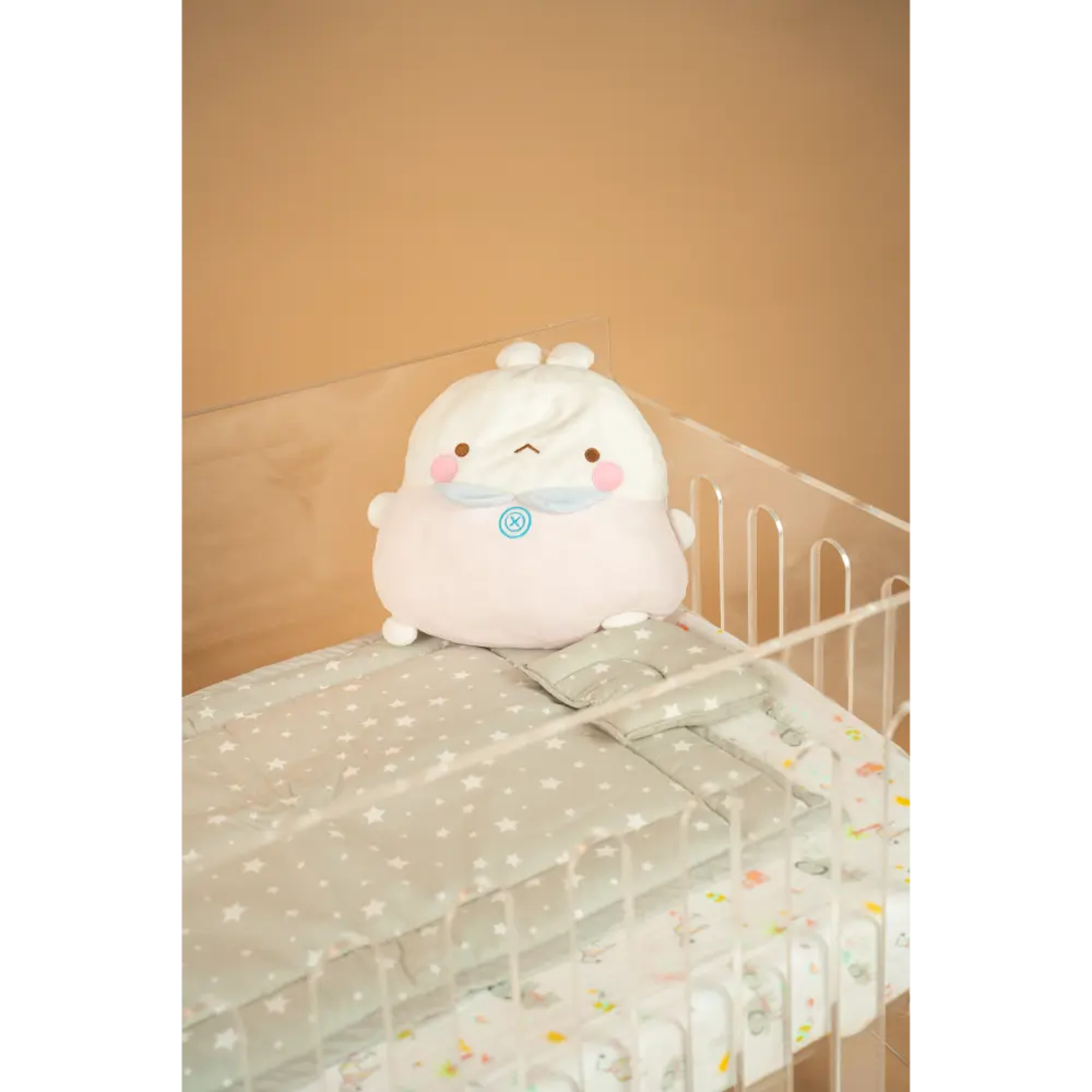 With Mattress