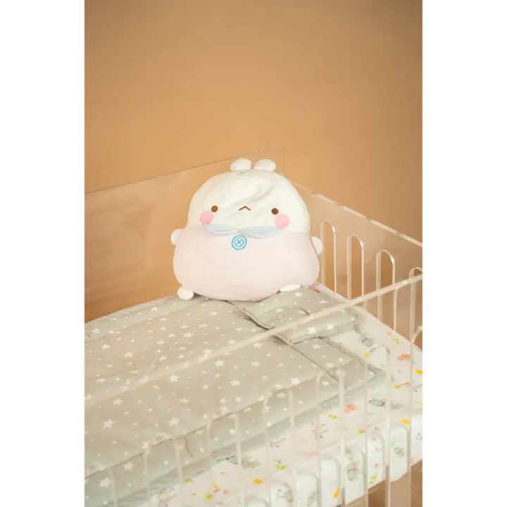 With Mattress