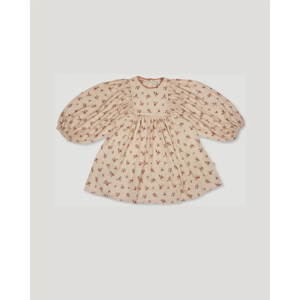 Early Sunday Belle Dress - Ditsy Bouquet Cream print - 03Y