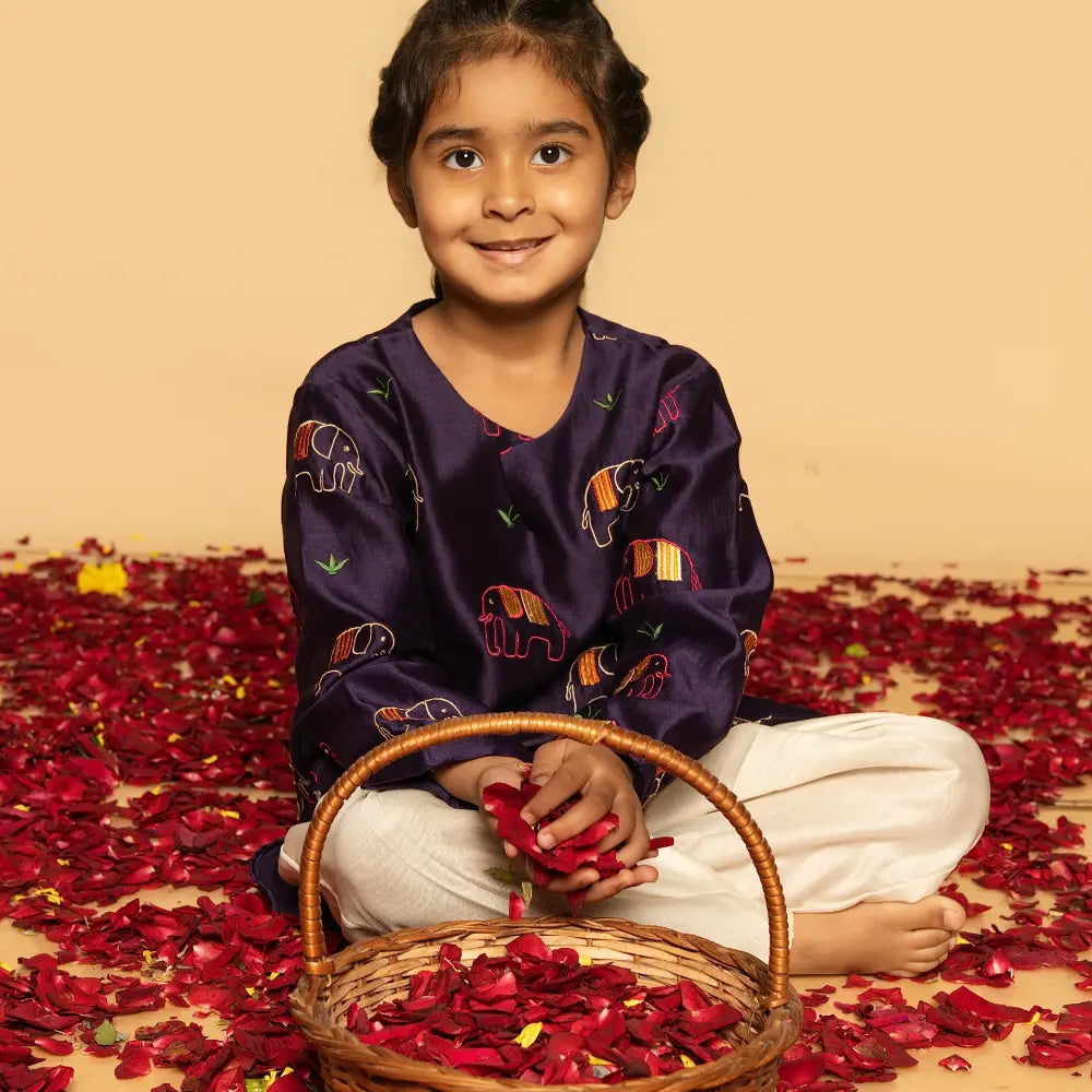 Dulaar Chanderi Salwar Kurta Set | Embroidered - Elephant Parade