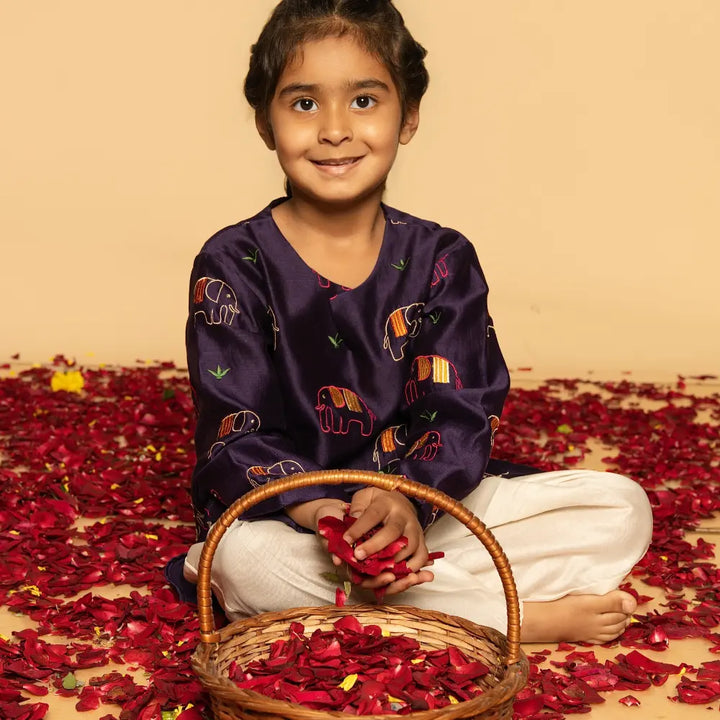 Dulaar Chanderi Salwar Kurta Set | Embroidered - Elephant Parade