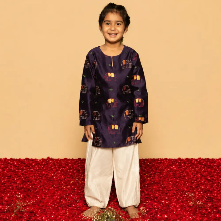 Dulaar Chanderi Salwar Kurta Set | Embroidered - Elephant Parade