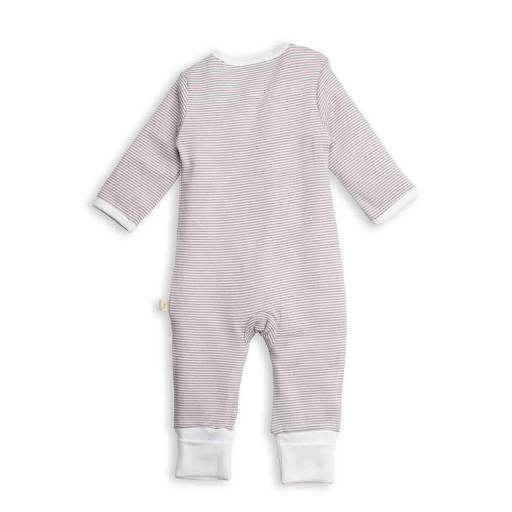 Tiny Twig Long Sleeve Zipsuit - Printed