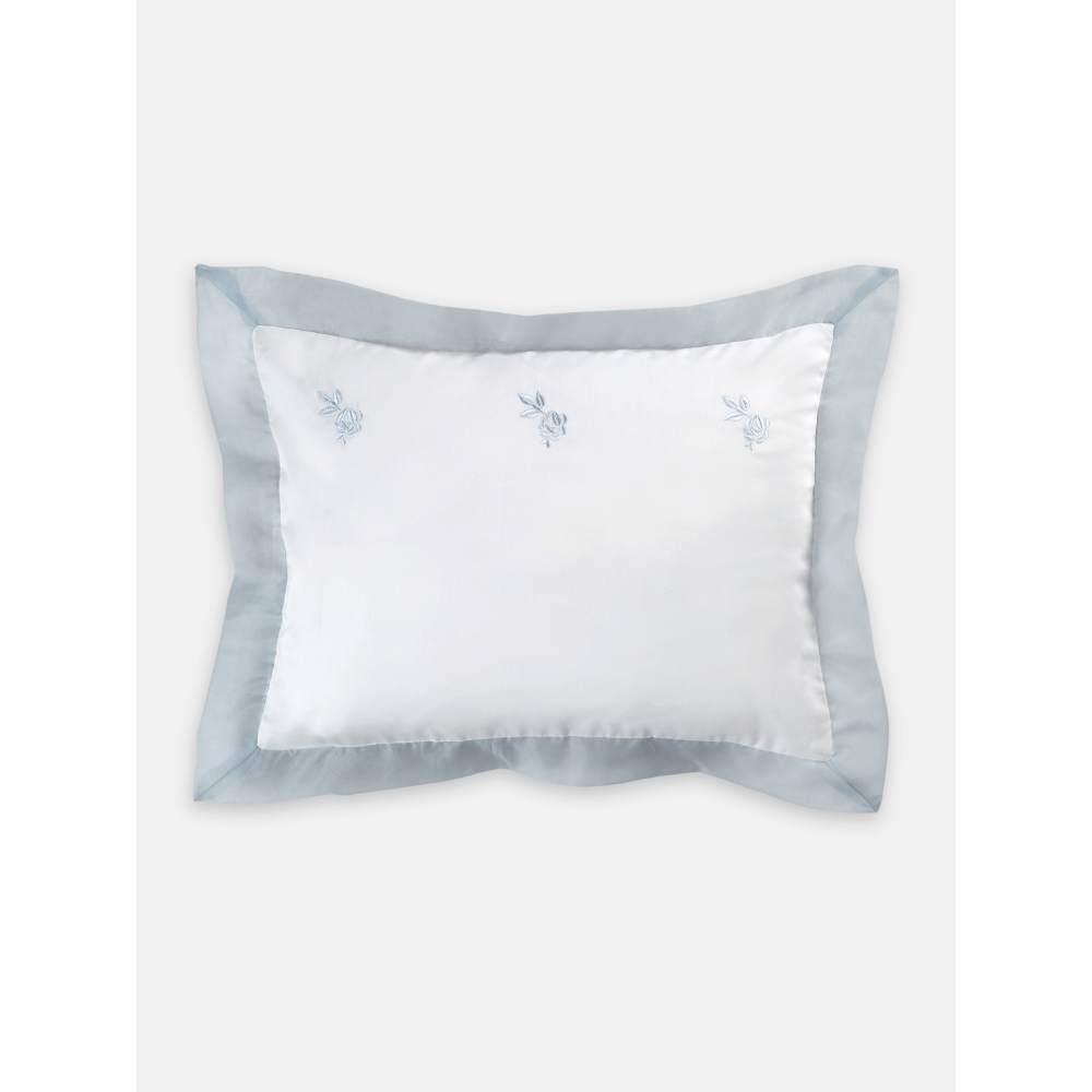 #color_blue-pale