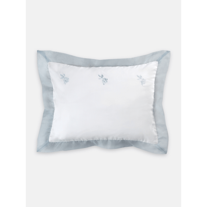#color_blue-pale