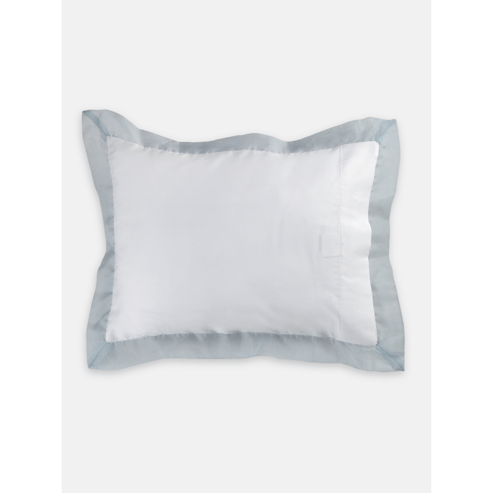 #color_blue-pale