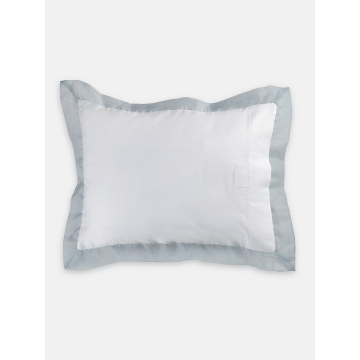 #color_blue-pale