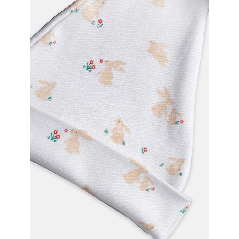 rabbit