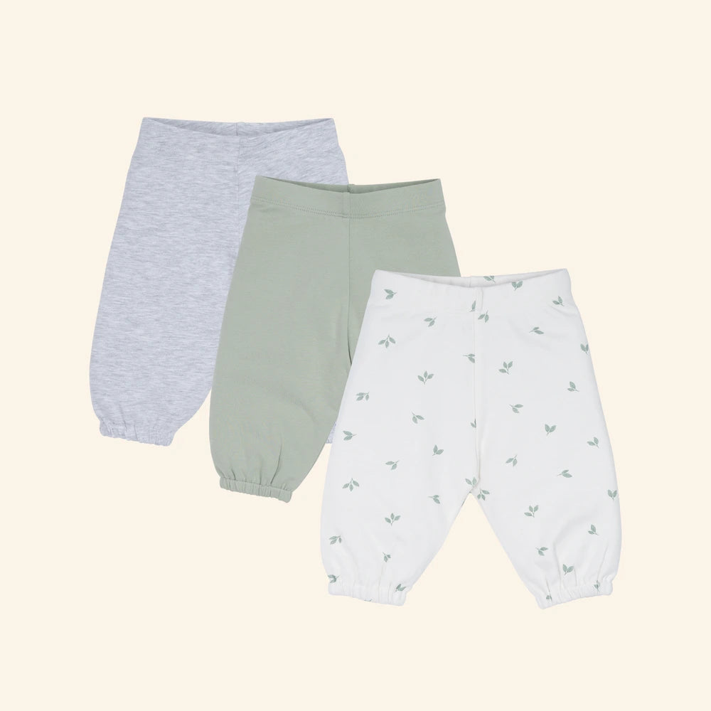 Tiny Twig Easy Wear Sky Sage Jogger Pants - Multi (Pack of 3)