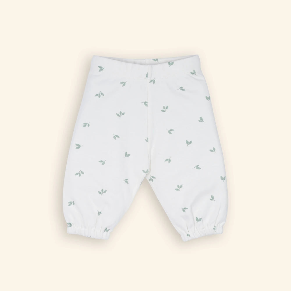 Tiny Twig Easy Wear Sky Sage Jogger Pants - Multi (Pack of 3)