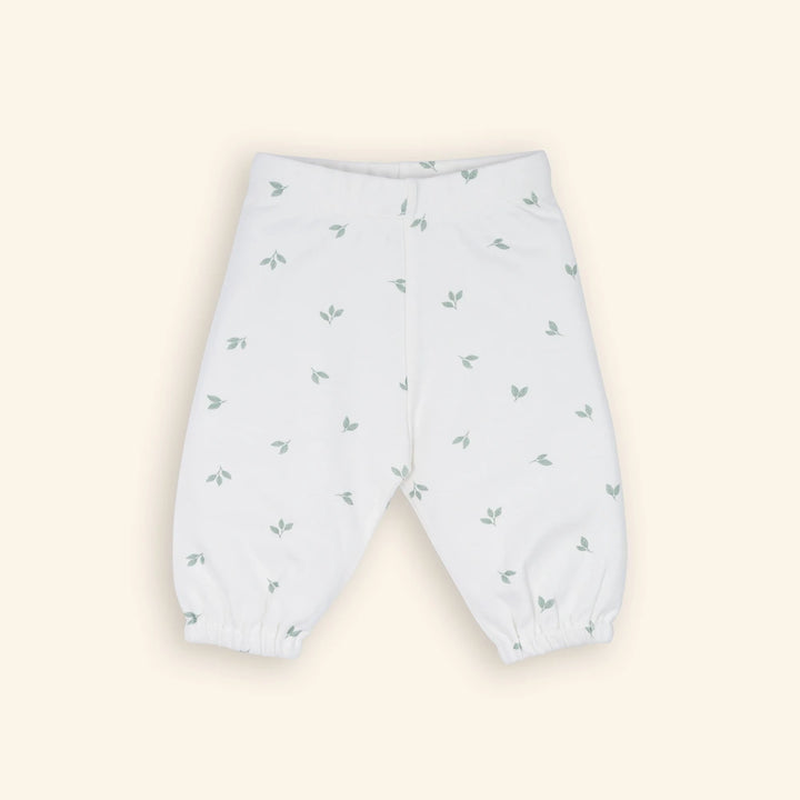 Tiny Twig Easy Wear Sky Sage Jogger Pants - Multi (Pack of 3)