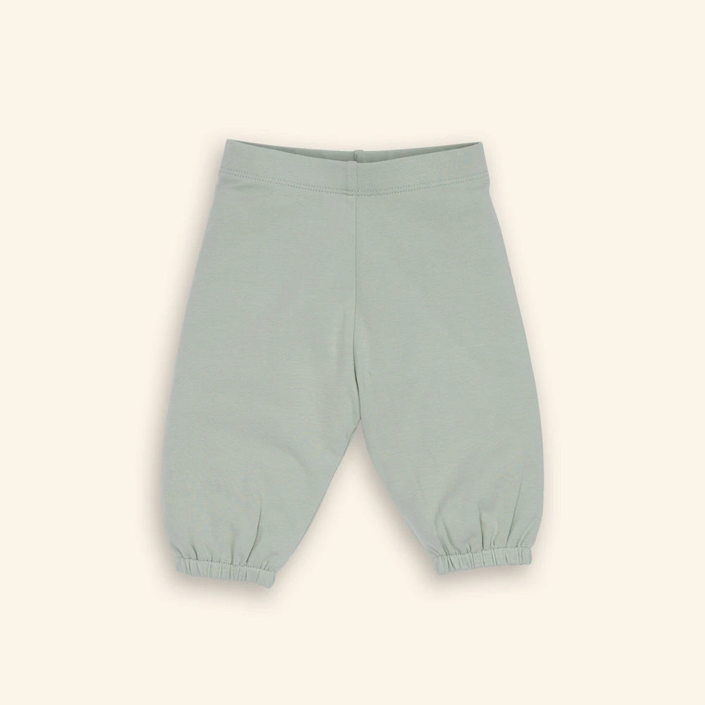 Tiny Twig Easy Wear Sky Sage Jogger Pants - Multi (Pack of 3)