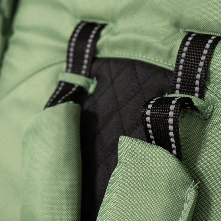 #color_green