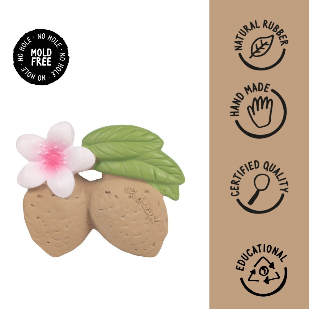 Oli & Carol Aly The Almond Natural Rubber Teether