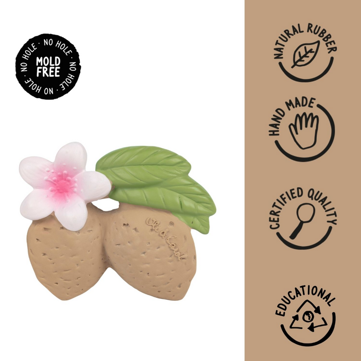 Oli &amp; Carol Aly The Almond Natural Rubber Teether