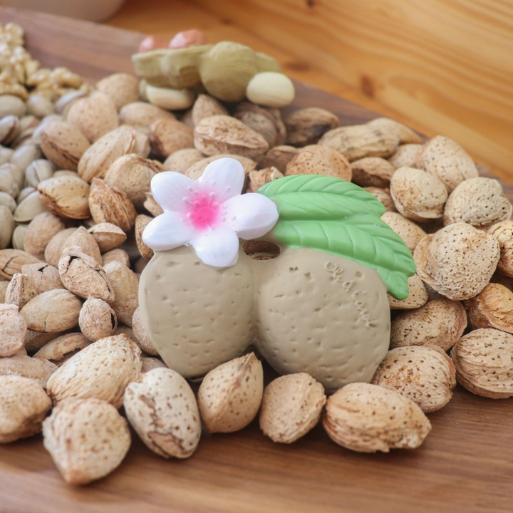 Oli &amp; Carol Aly The Almond Natural Rubber Teether