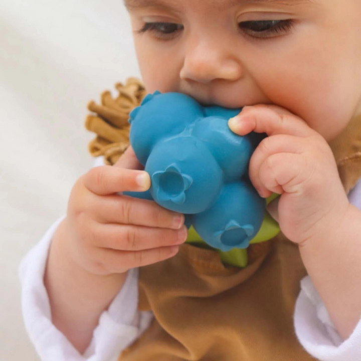 Oli &amp; Carol Jerry The Blueberry Natural Rubber Teether