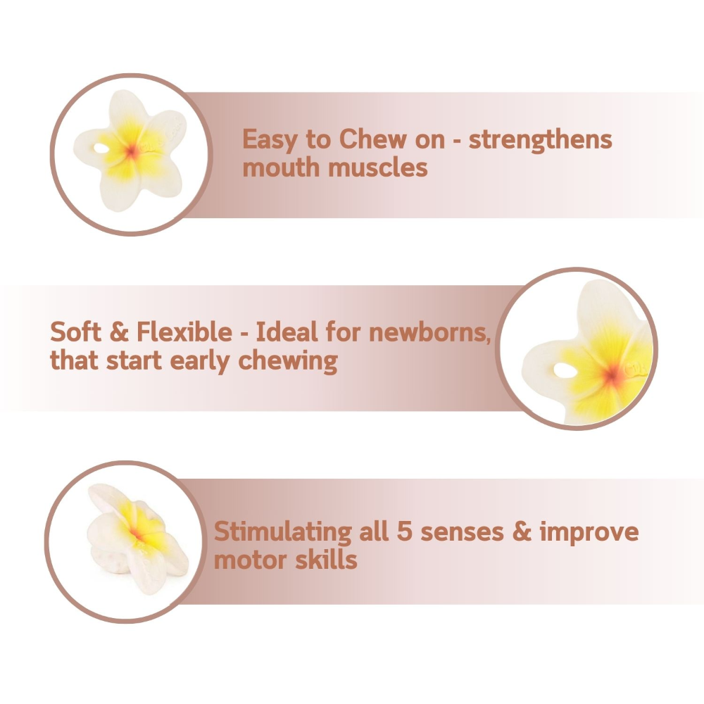 Oli &amp; Carol Hawaii The Flower Chewy Teether