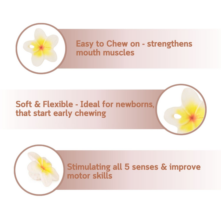 Oli &amp; Carol Hawaii The Flower Chewy Teether