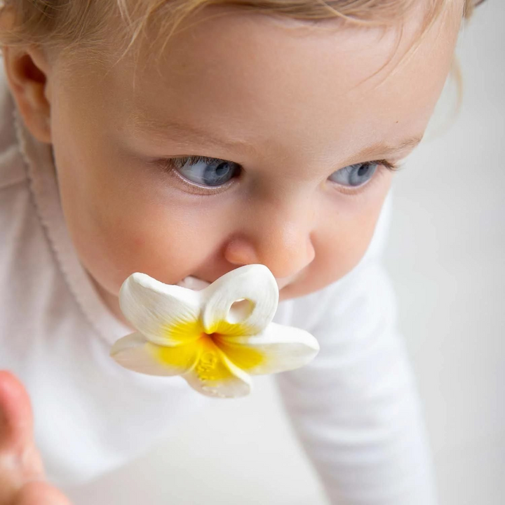 Oli &amp; Carol Hawaii The Flower Chewy Teether
