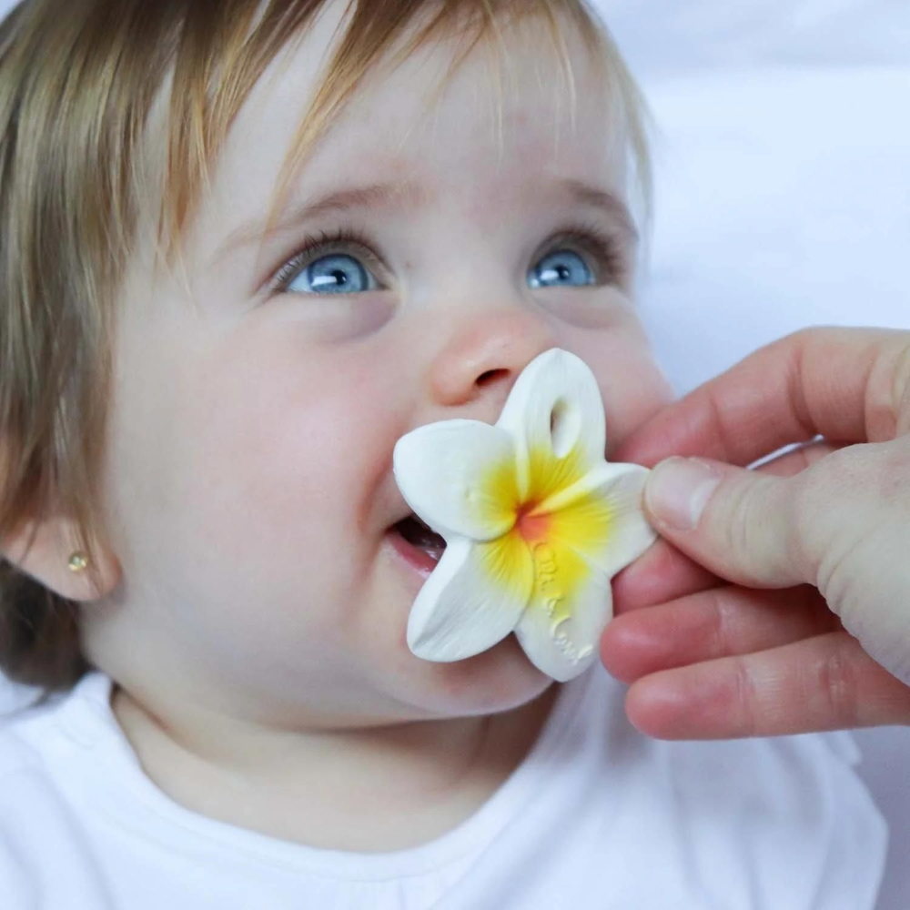 Oli & Carol Hawaii The Flower Chewy Teether