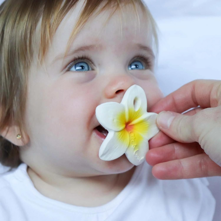 Oli &amp; Carol Hawaii The Flower Chewy Teether