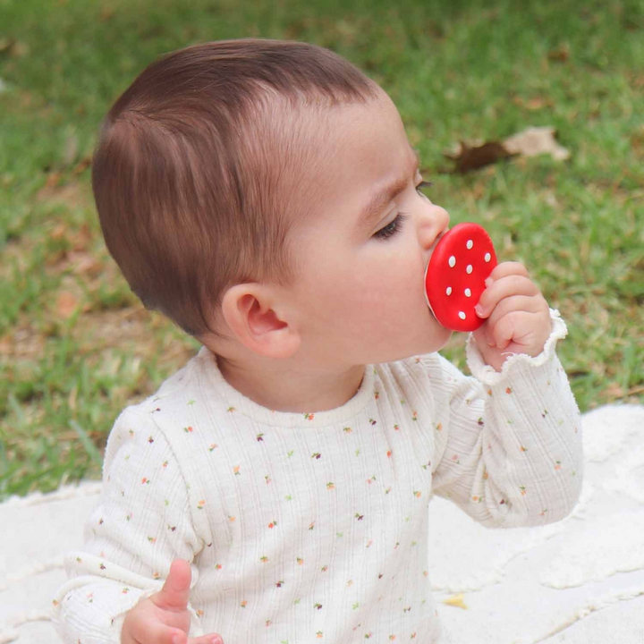 Oli &amp; Carol Spotty The Mushroom Chewy Teether