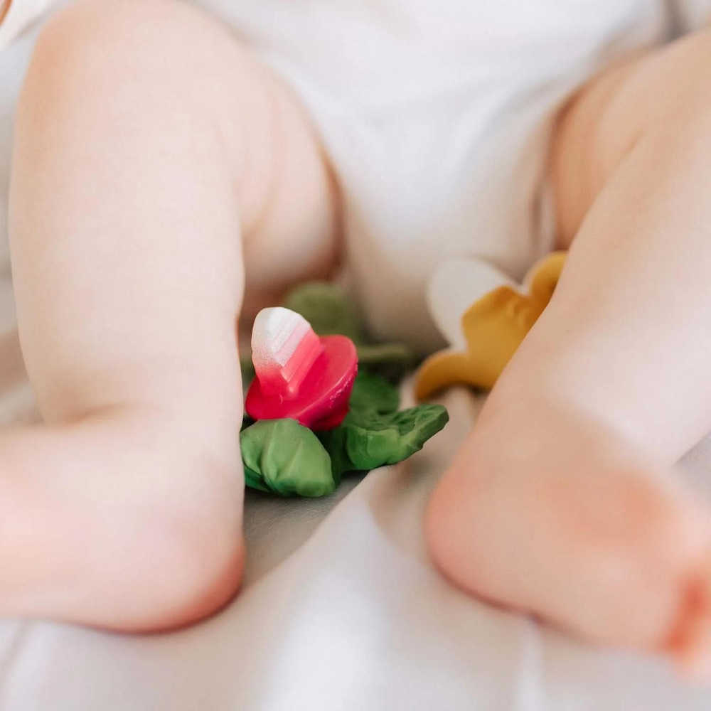 Oli &amp; Carol Ramonita The Radish Chewy Teether