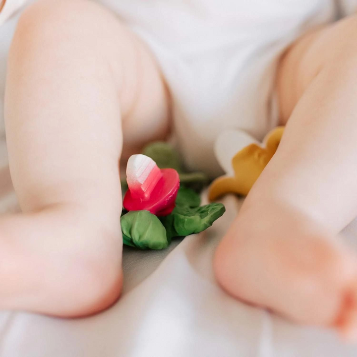 Oli &amp; Carol Ramonita The Radish Chewy Teether