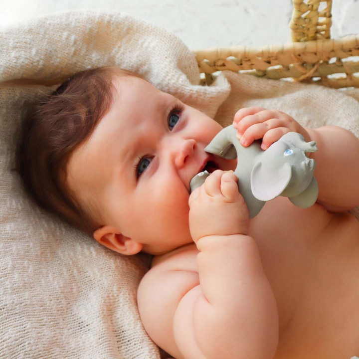 Oli &amp; Carol Nelly The Elephant Bracelet Teether