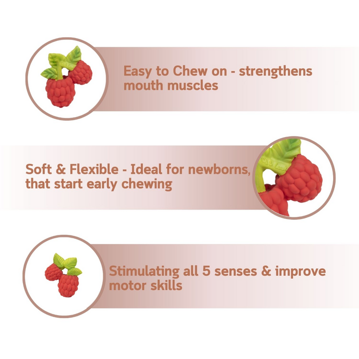 Oli &amp; Carol Valery The Raspberry Natural Rubber Teether