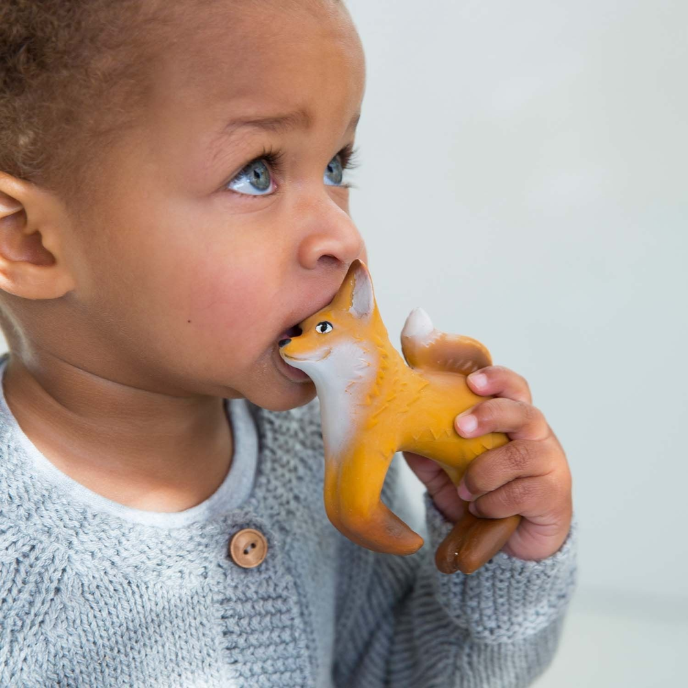 Oli & Carol Rob The Fox Bracelet Teether