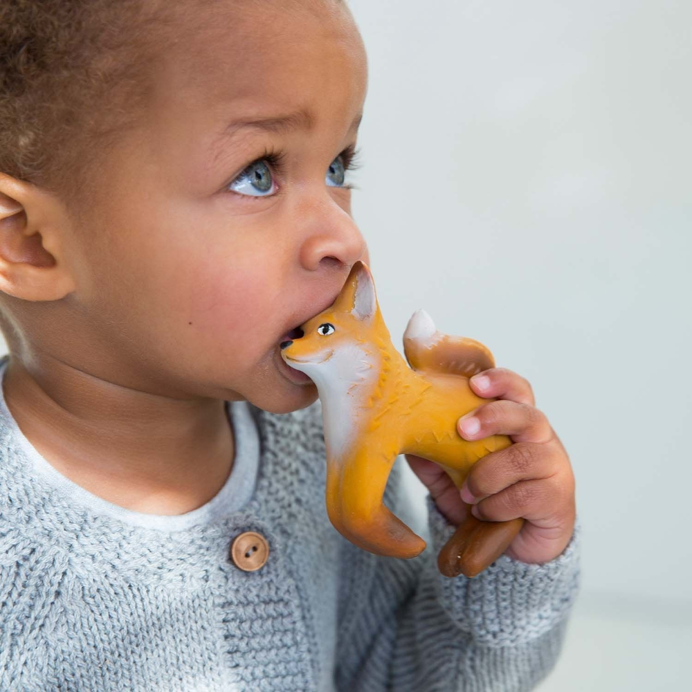 Oli &amp; Carol Rob The Fox Bracelet Teether
