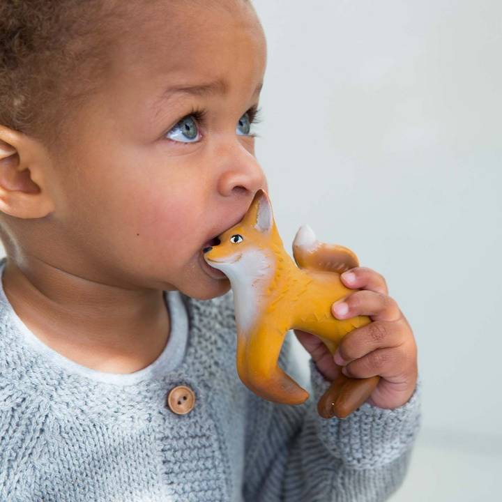 Oli &amp; Carol Rob The Fox Bracelet Teether