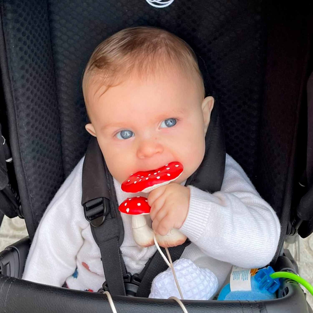 Oli &amp; Carol Spot The Mushroom Natural Rubber Teether
