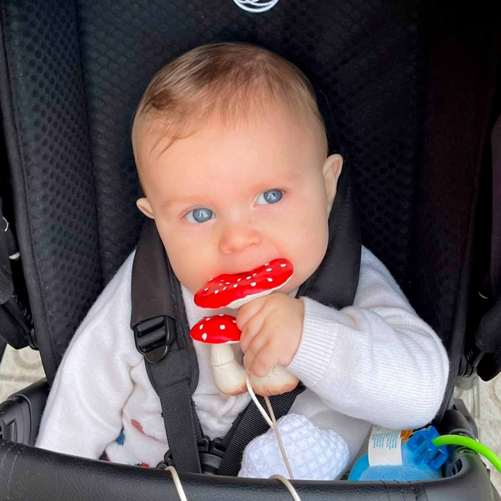 Oli &amp; Carol Spot The Mushroom Natural Rubber Teether