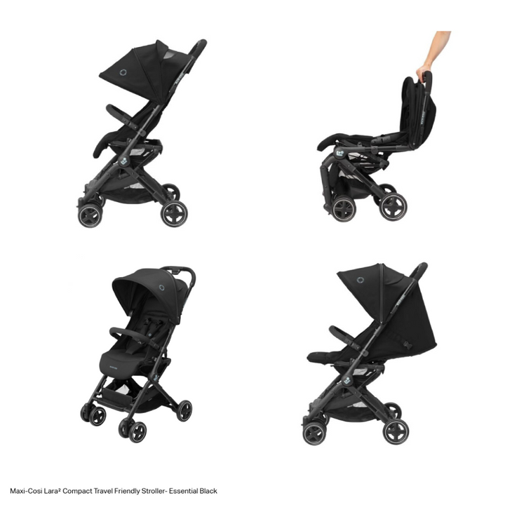 #color_essential-black