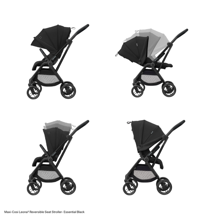 #color_essential-black