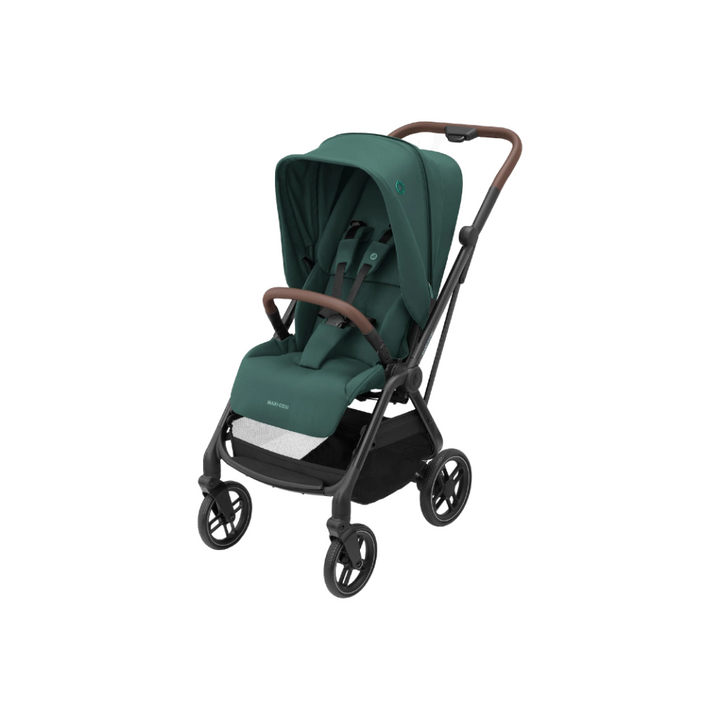 #color_essential-green