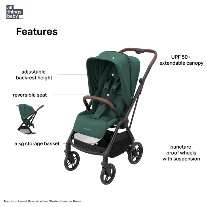 #color_essential-green