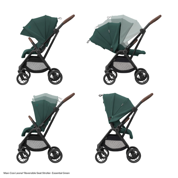 #color_essential-green