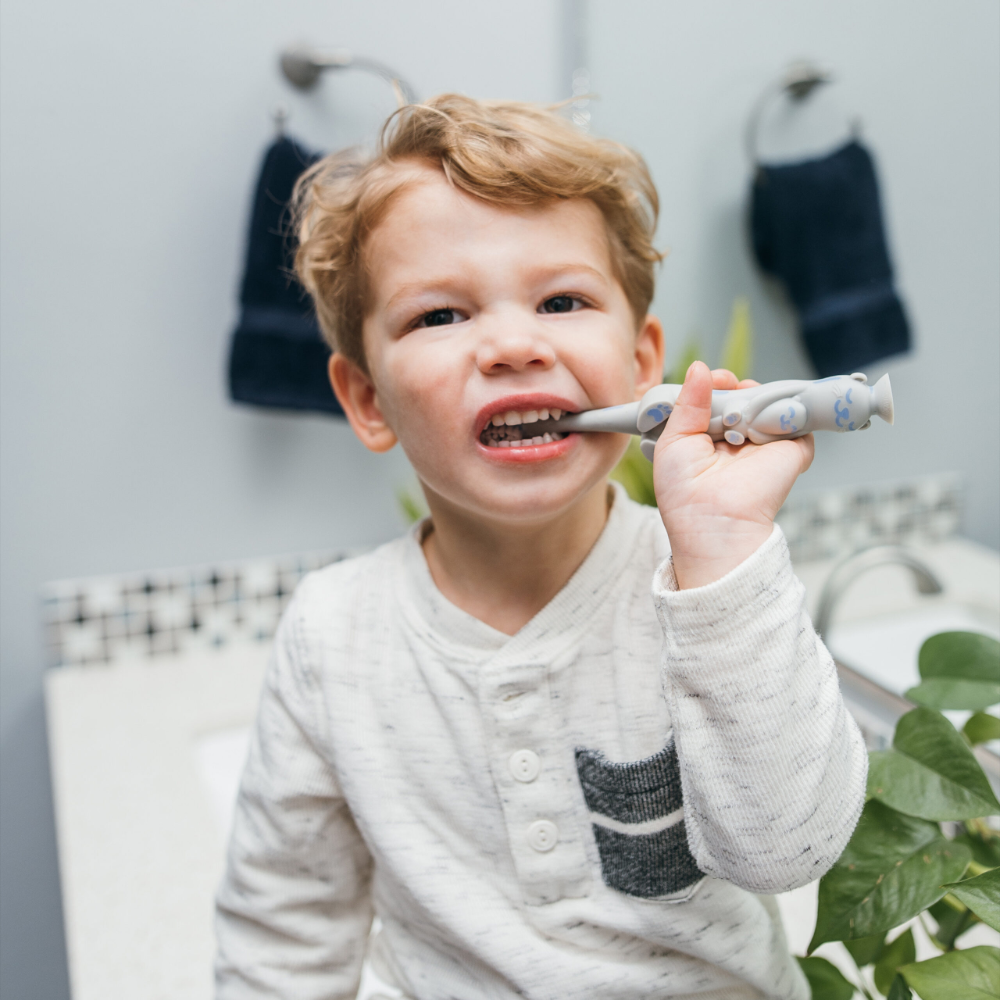 Dr. Brown's Toddler Toothbrush