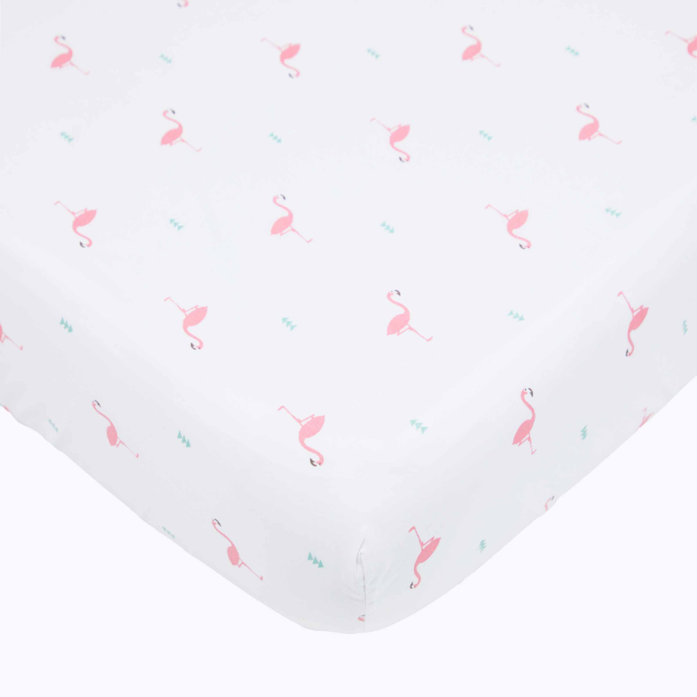 Hello Flamingo